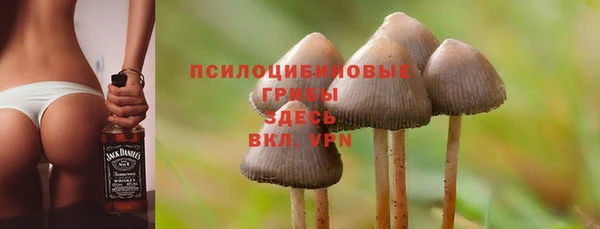 прущие крисы Арсеньев
