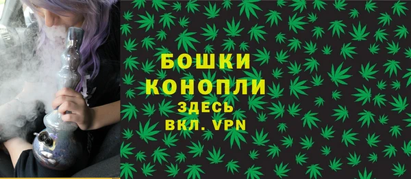 гидра Аркадак
