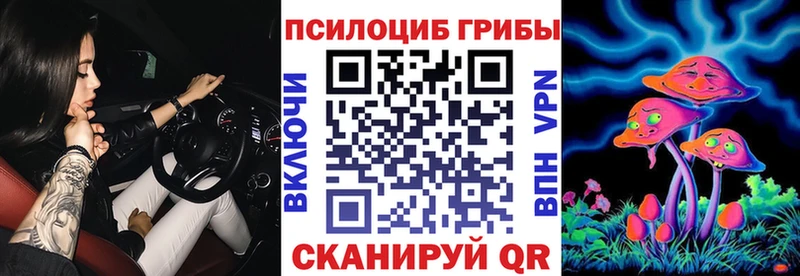 Псилоцибиновые грибы Psilocybe  Биробиджан 