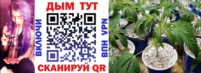 Каннабис SATIVA & INDICA  наркота  Биробиджан 